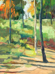 A Walk in the Woods​​