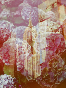 The Whole World Comes To You​​