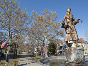 Covington-Wolf-90455