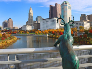 Buck-eye View of Downtown Columbus Ohio 3937