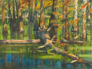 Cache River