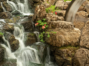 Millstadt falls