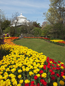 Cincinnati Zoo-JMWolf-7339