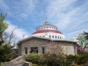 Cincinnati Zoo-JMWolf 15-3685