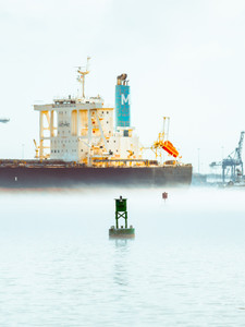 Buoy in the Mist