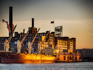 Golden Light on Domino