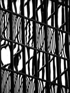 Manhattan Refection H