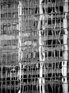 Manhattan Refection M