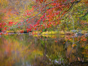Autumn's Embrace
