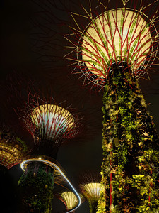 Gardens By The Bay
