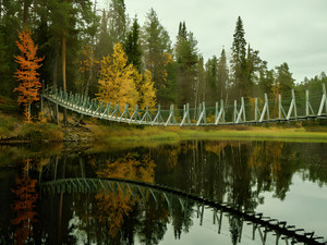Autumn Suspension Bridge