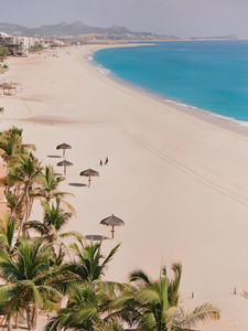 Cabo Beach