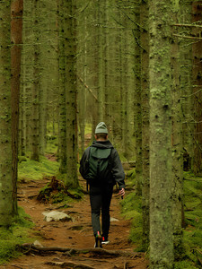 Hiker in Forest Path