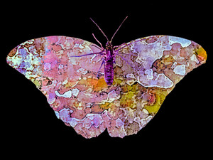 Pink abstract butterfly