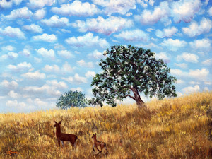 Doe and Fawn Under White Fluffy Clouds