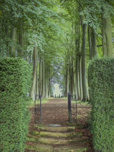 Secret Garden II