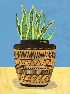 Africa Brasil