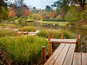 Japanese Garden Path IMG5883​