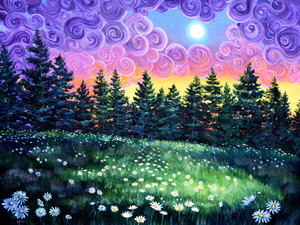 Daisy Meadow at Sunset