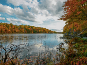 Autumn Moments