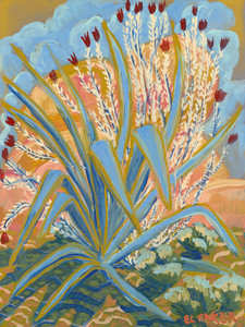 Agave and Ocotillo