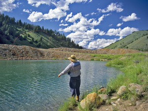 Fly fisherman casting to trout on pond