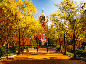 Autumn at the Dome II