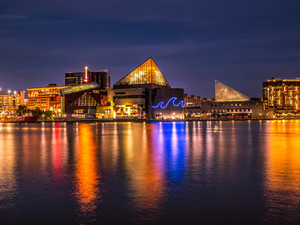 Aquarium After Dark