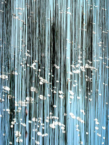 African Snow_Vertical