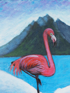 Confused Flamingo