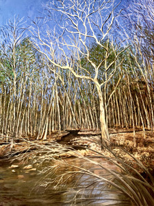 Duke Forest