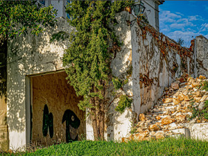 Abandoned Homestead