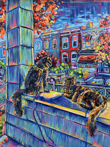 Hampden Cats