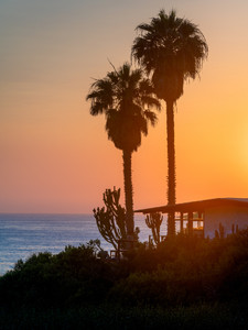 California Dreaming​​​​​​
