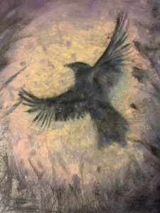 Soar Beyond