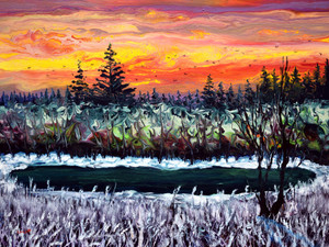 Green Vernal Pool in Frost