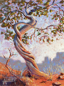 Desert Dancer II