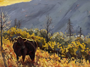 High Pasture Light