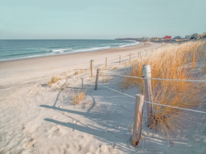 Corporation Beach, No. 2