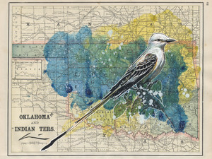 Scissortail Map