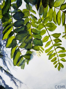 Black Locust Above