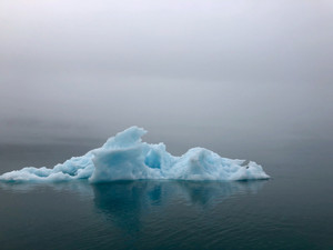 Alaskan Ice