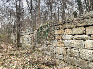 Iron Foundry Remains VIII