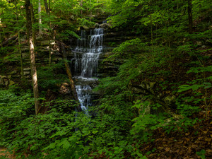 Bridal Veil Falls​​​​​​