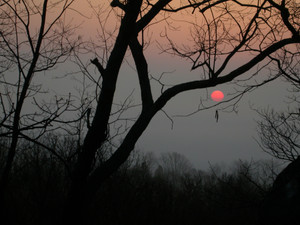 Maryland Evening