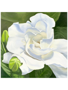Fragrant Beauty