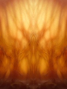Citrus Pattern TA-3032924