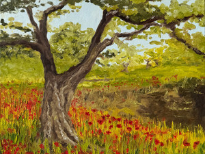Provence Poppies​