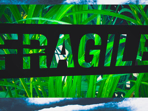 Agile