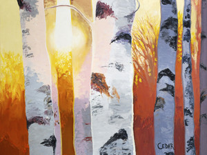 Birches at Sunset